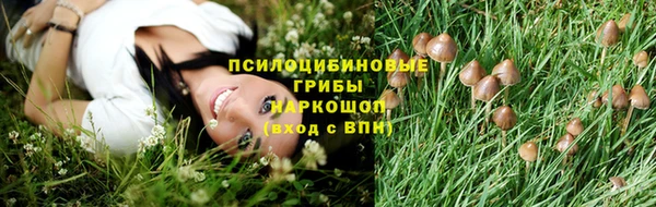 гидропоника Переславль-Залесский
