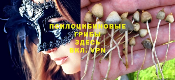 а пвп мука Аркадак
